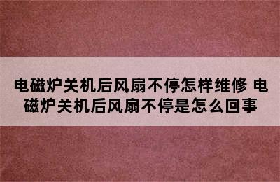 电磁炉关机后风扇不停怎样维修 电磁炉关机后风扇不停是怎么回事